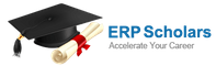 More about ERP Scholars  More about ERP Scholars